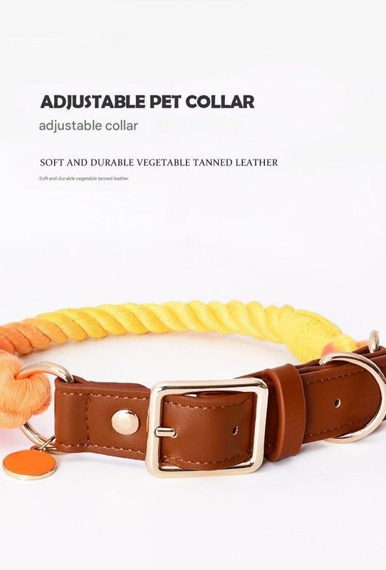Premium Leather Pet Collar and Leash - Soft, Strong Braided Rope (Pink Purple - Size L) - Image 2