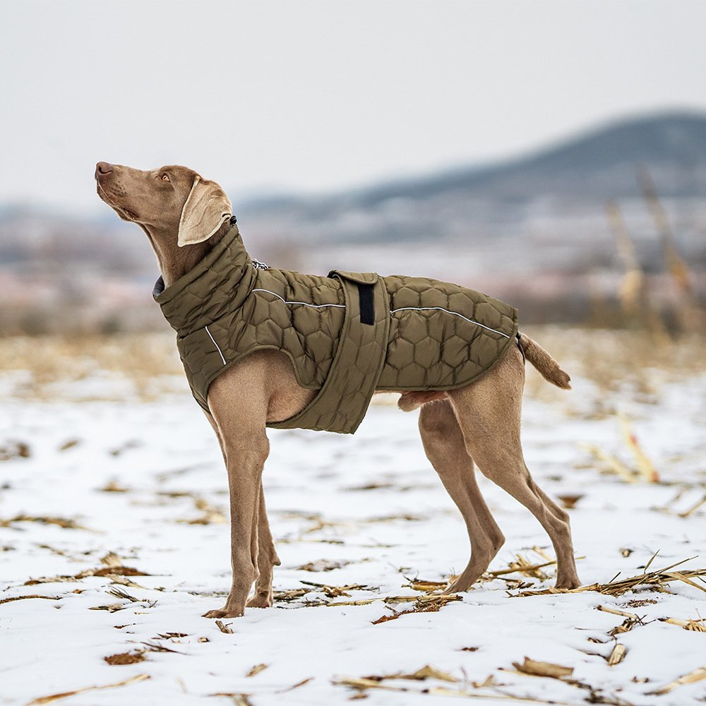 Size XL Olive Green Warm Quilted Dog Winter Coat - Adjustable Fleece-Lined Puffer Vest with Reflective Trim & Leash Port