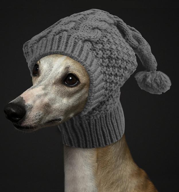 Size S Grey Whimsical Knit Dog Hat with Pom-Pom - Cozy Winter Pet Beanie & Snood - Image 2