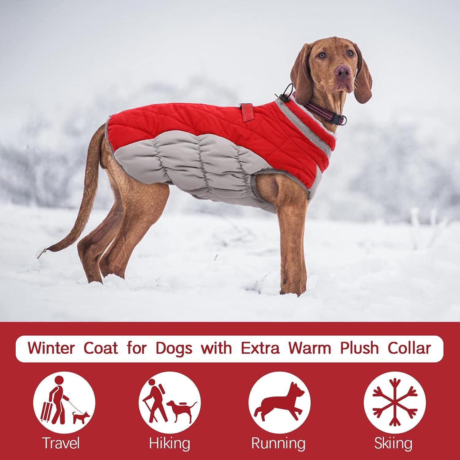 S Red Grey Premium Winter Puffer Dog Coat - Windproof & Fleece-Lined Jacket for Cold Weather - Image 2