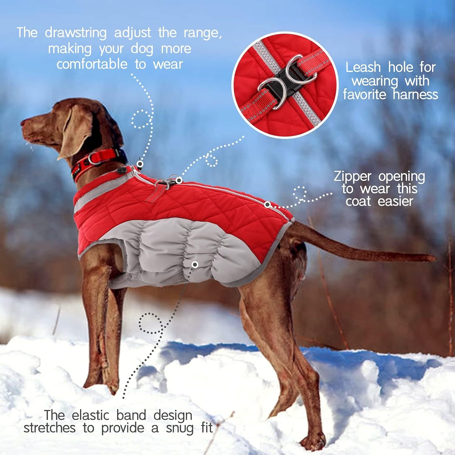 L Red Grey Premium Winter Puffer Dog Coat - Windproof & Fleece-Lined Jacket for Cold Weather - Image 3