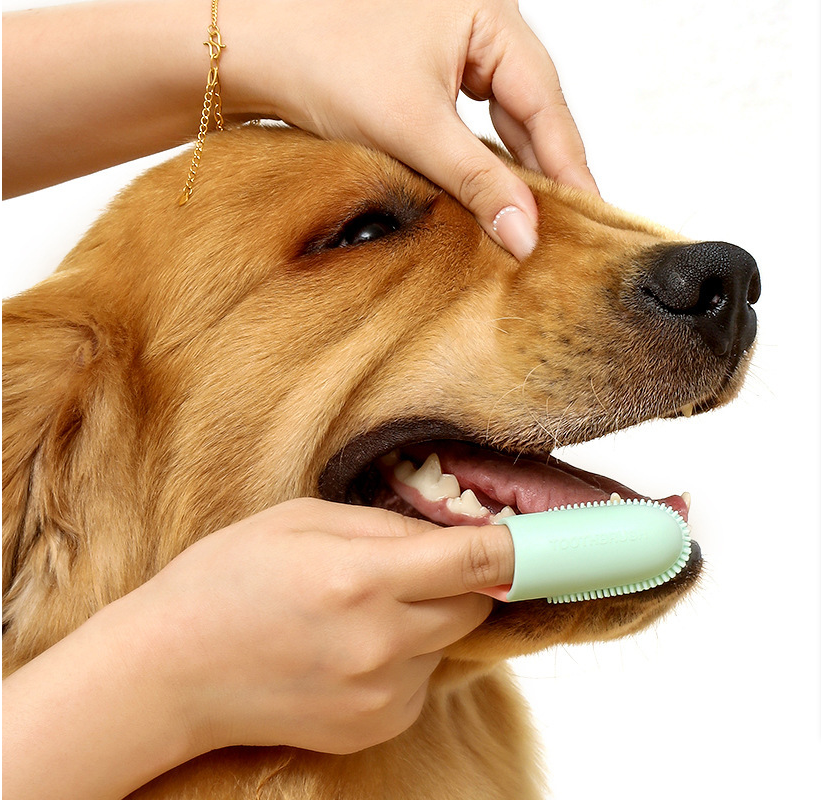 Yellow 5-Pack Pet Finger Toothbrush Set for Dogs & Cats - Soft Silicone Dental Care Brush for Healthy Gums & Teeth - Image 3