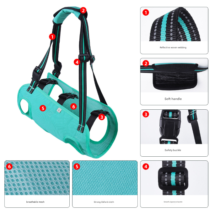 Green Pet Support Harness for Senior and Disabled Dogs - Adjustable Chest and Back Support Leash(Size L) - Image 3