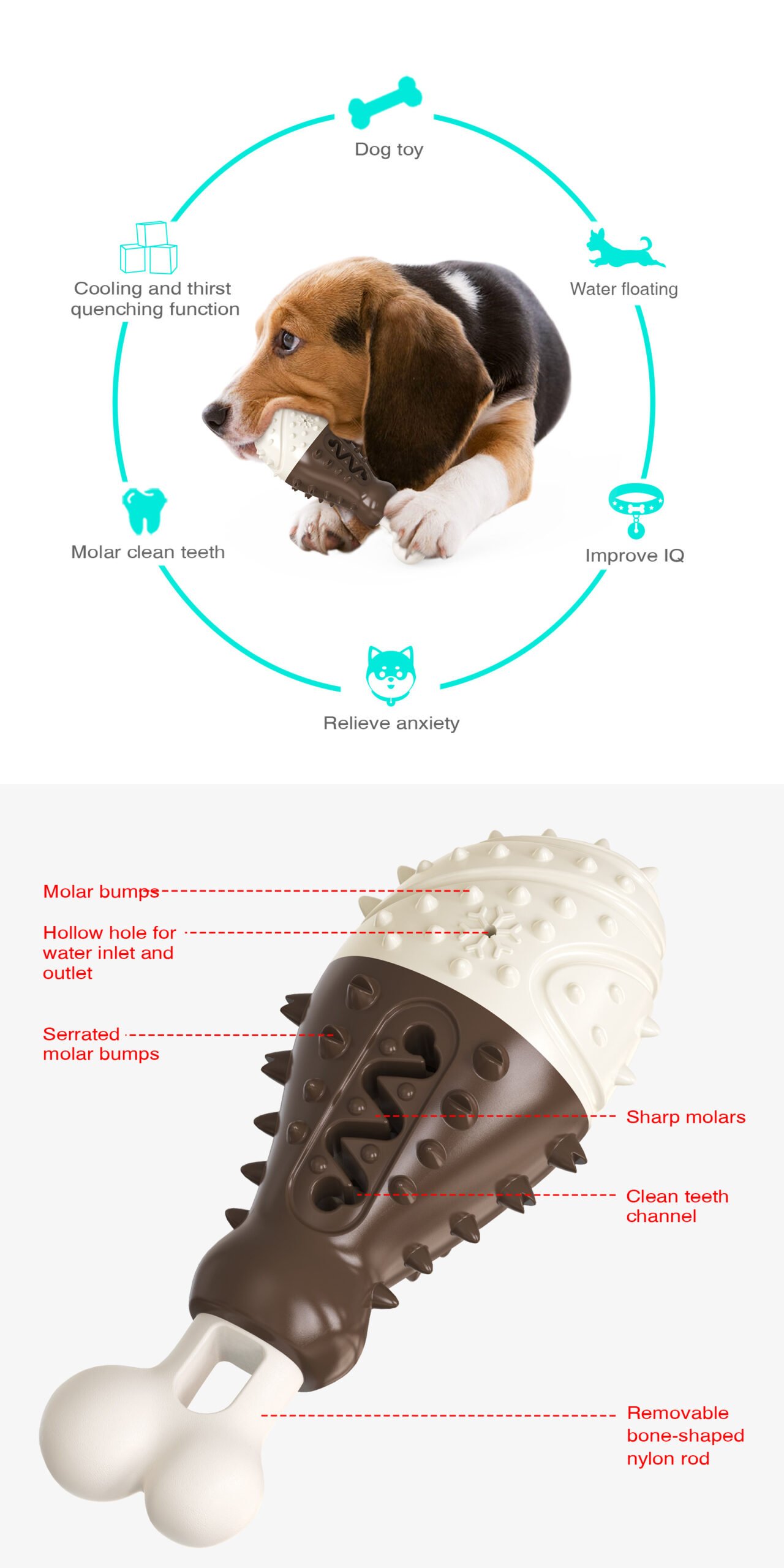 Multifunctional Dog Toy with Cooling, Dental Care & Floating Features(Chocolate color) - Image 2
