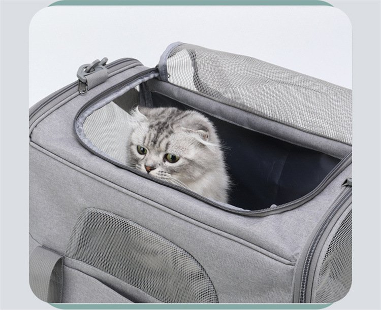 Foldable Soft-Sided Pet Carrier for Travel - Fits Cats & Small Dogs Under 6kg, with Removable Plush Bed & Shoulder Strap(grey) - Image 5