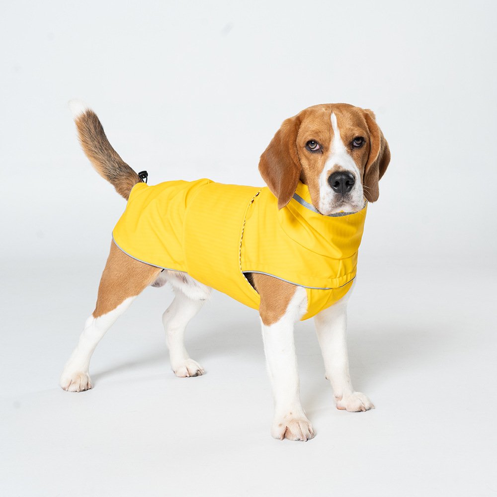 L Yellow All-Season Pet Raincoat - Waterproof & Dustproof High-Collar Dog Windbreaker for Spring