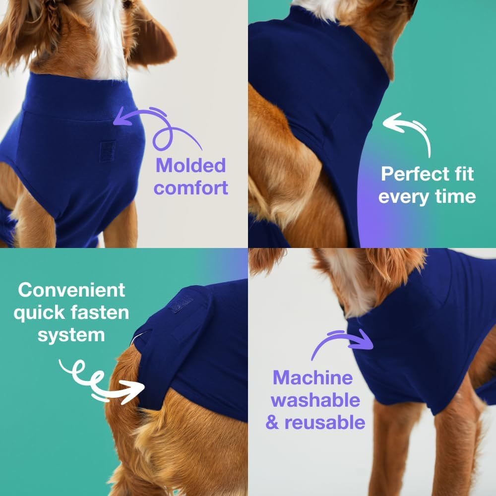 M Blue Premium Pet Physiological Suit - Comfortable & Breathable Bamboo Modal Recovery Suit - Image 2