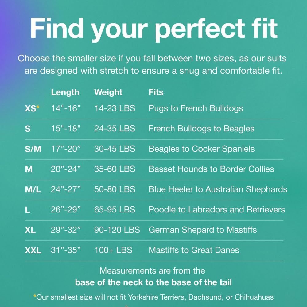 M Blue Premium Pet Physiological Suit - Comfortable & Breathable Bamboo Modal Recovery Suit - Image 3