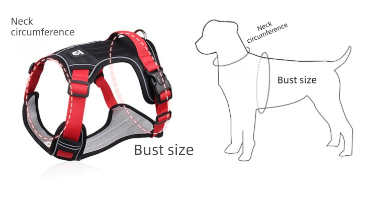 Blue L Adjustable No-Pull Dog Harness and Leash Set - Reflective & Padded Vest for Medium to Large Dogs - Image 3