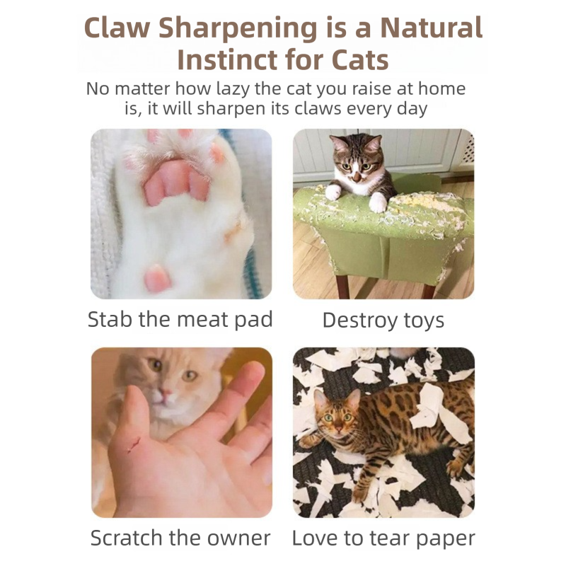 2-Pack Creative Accordion Cat Scratcher (Cat Head Design, 23x23x10CM) - Reversible Honeycomb Material Scratch Pad & Lounge Mat for Stress Relief - Image 4